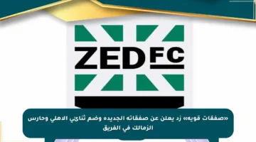 «صفقات قوية» زد يعلن عن صفقاته الجديدة وضم ثنائي الأهلي وحارس الزمالك في الفريق